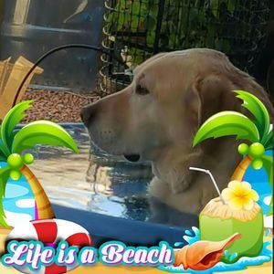 Meet your Posher, Charlotte